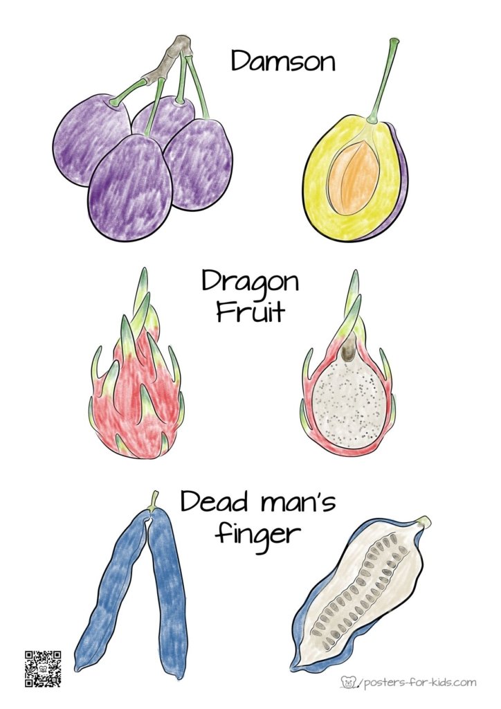 coloring alphabet,coloring page,free coloring,coloring damson,coloring dragon fruit,coloring dead mens fingers
