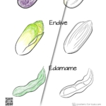 coloring alphabet,coloring page,free coloring,drawing,drawing eggplant,Endive,Edamane
