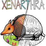 Animal Alphabet by Shubol3D - Xenarthra - free coloring page