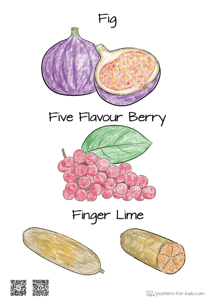 Fruits and Vegetables for F - Coloring Page