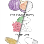 coloring alphabet,coloring page,free coloring,drawing,fig,five flavour berry,finger lime